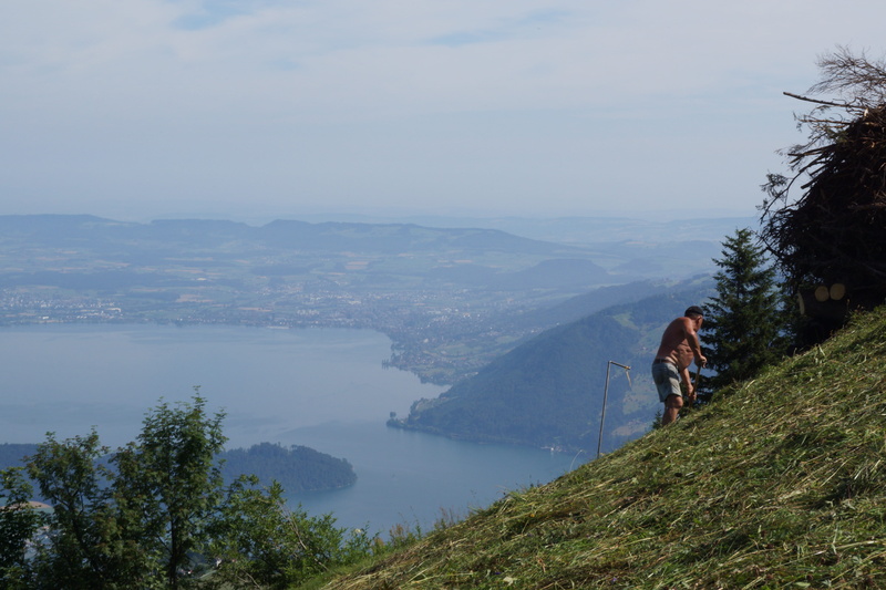 5K, scenics - nature, Region, scenics, cycling, tranquil scene, hay, lake, tree, lifestyles, Mountains, bicycle, lucerne, people, day, nature, mountain