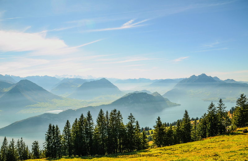 environment, 4K, outlook, plant, sky, no people, vouch stock, green, cloud - sky, foresight, mist, non-urban scene, mountain panorama, tree, pilatus, tranquil scene