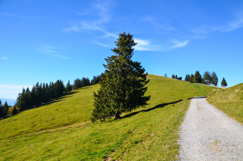 field, sky, central switzerland, holiday, landscape, rigi, direction, scenics - nature, alp, nature, holidays, switzerland, tranquility, autumn, alpine
