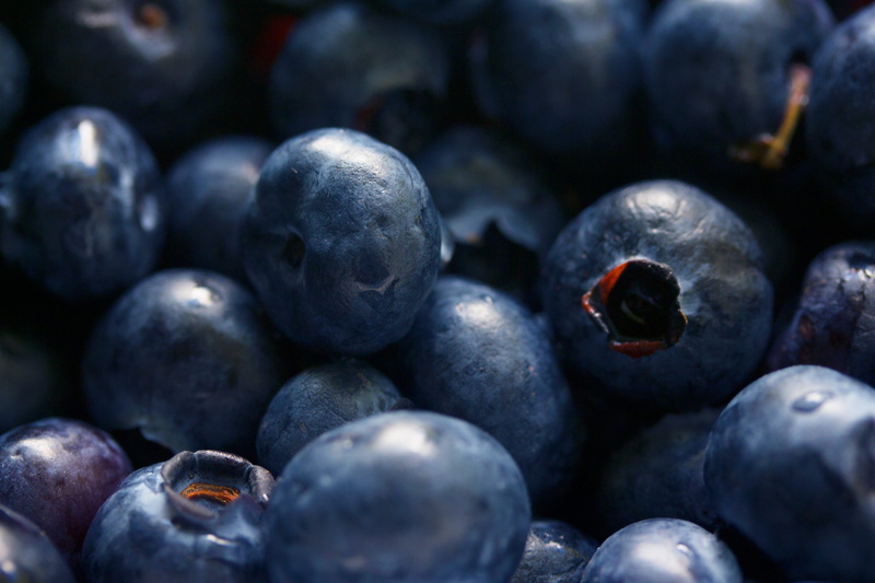 still life, backgrounds, no people, freshness, purple, berries, fruit, vitamin, black background, bilberry, berry fruit, large group of objects, close-up
