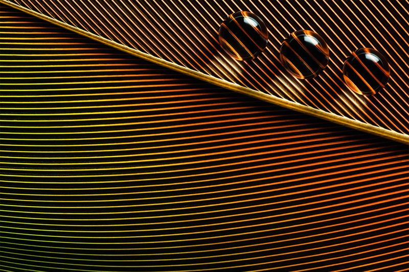 water drops, 1080P, leaves, macro, shadow, Bruno Militelli, closeup, lines, photography