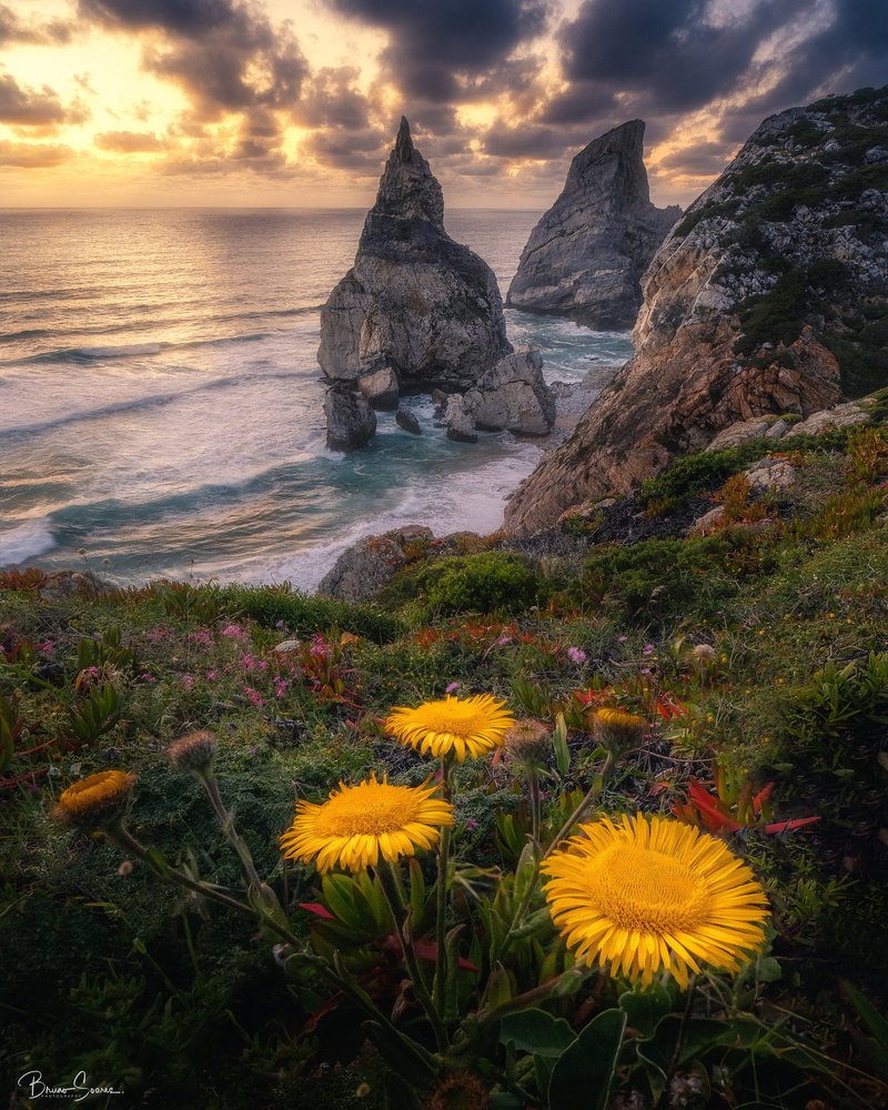 clouds, cliff, sky, grass, flowers, shore, waves, landscape, Bruno Soares, water, rocks, 1080P