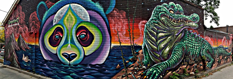one animal, grafiti, creativity, graffiti, mural, toronto, art, art and craft, 4K, urban, representation, day, animal wildlife, animal, wall, pattern