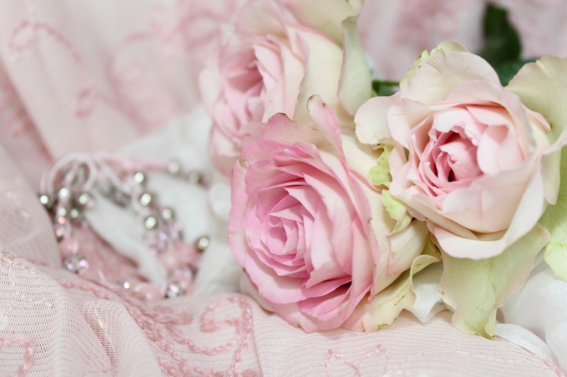 rose, playful, petal, vulnerability, rose - flower, jewellery, no people, floral pattern, softness, plant, pastel colored, celebration, freshness, fabric