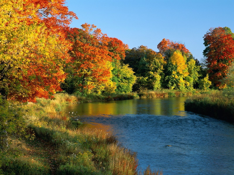 river, fall, 720P, red leaves, trees, landscape