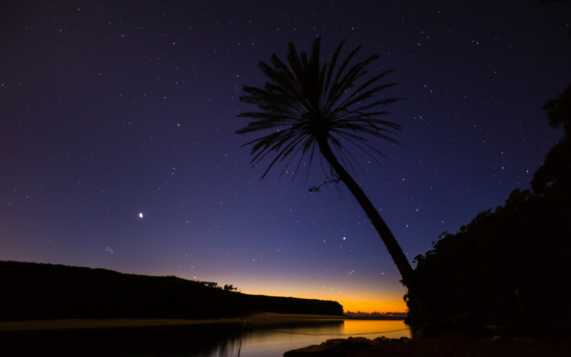nature, scenics - nature, lake, water, palm trees, stars, silhouette, Royal National Park, star - space, 4K, astronomy, idyllic, Australia, tranquil scene