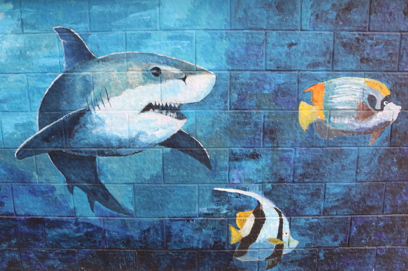 aquarium, 5K, painting, fishes, fish, animal wildlife, animal representation, two, art, wall, no people, water, swimming, group of animals, transparent
