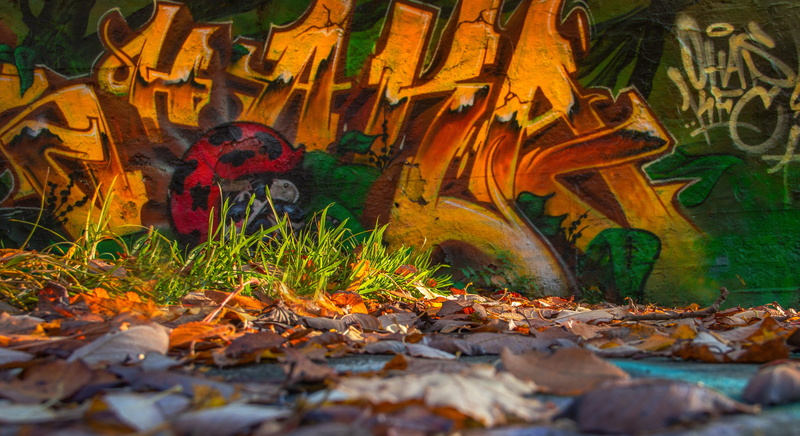 building, outdoors, land, spray, dry, old, sprayer, abandoned, art and craft, mural, wall painting, no people, change, forget, walls, leaves, plant part