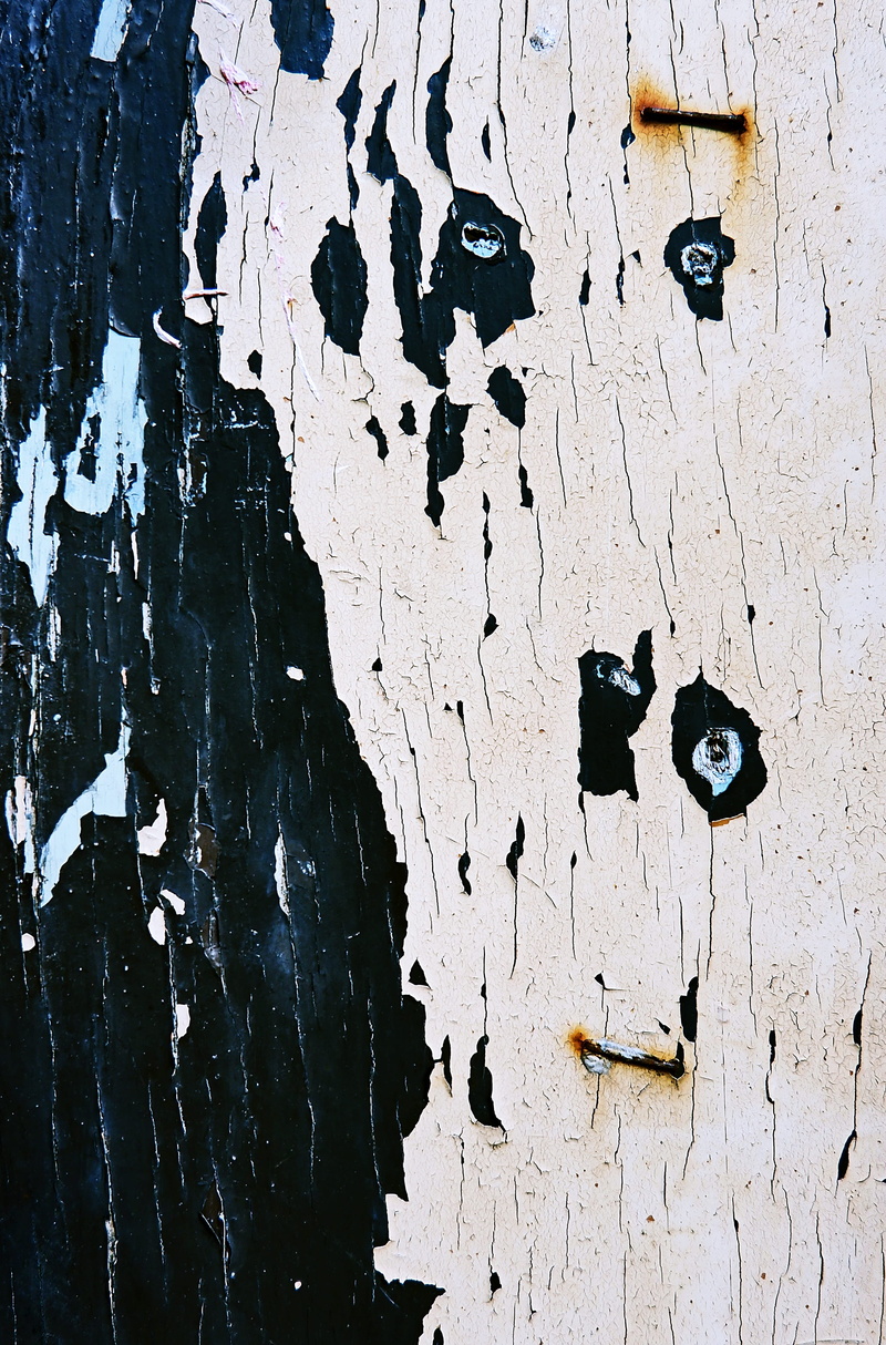 2K, bad condition, bird, decline, text, map, drawing, stain, graffiti, run-down, rug, textured, architecture, peeled, insect, weathered, no people, deterioration