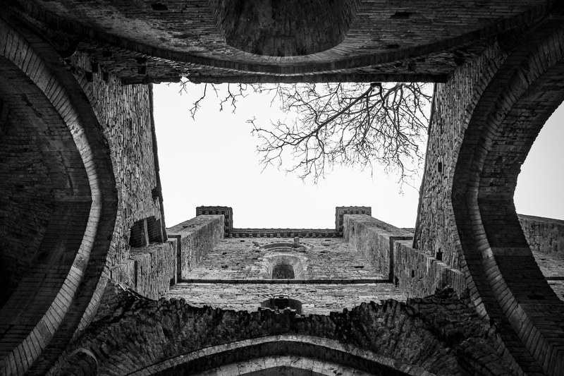 ground, grayscale, clear sky, pet, outdoors, sky, crypt, wall, old, hole, directly below, concrete, architecture, the past, damaged, black cat, plant, fisheye