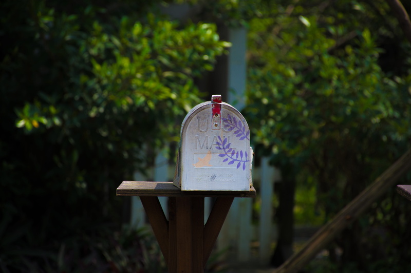 wood - material, information sign, purple, text, script, wooden post, wooden, guidance, nature, security, suburb, brown, mail, tree, day, letter, focus on foreground