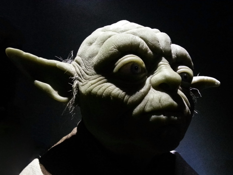teacher, evil, Dark Side, dark, star, vertebrate, gargoyle, one animal, studio shot, black background, close-up, wise, indoors, people, animal body part