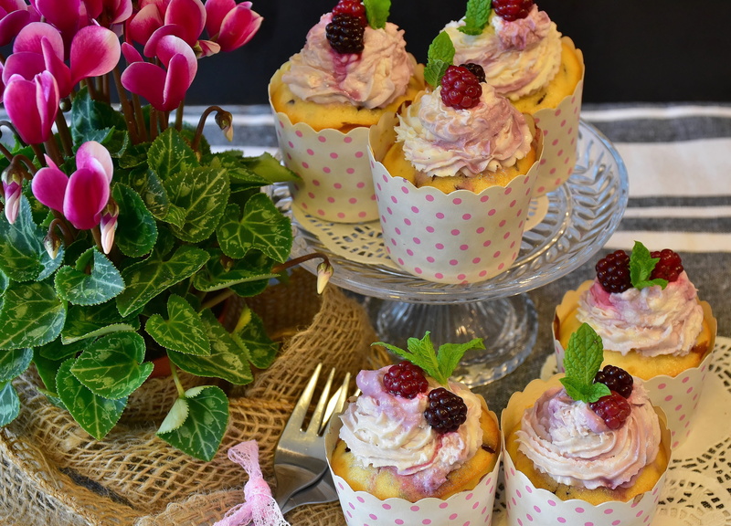 cake, plant, ready-to-eat, still life, temptation, cake decorations, drinking coffee, bake, pastries, confiserie, multi colored, close-up, cupcakes, candy