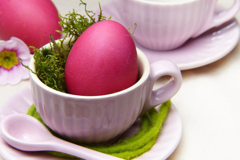 pink color, symbol, have breakfast, wellbeing, children, holidays, tierhaltung welfare, flower, easter sunday, no people, brunch, bowl, crockery, moss