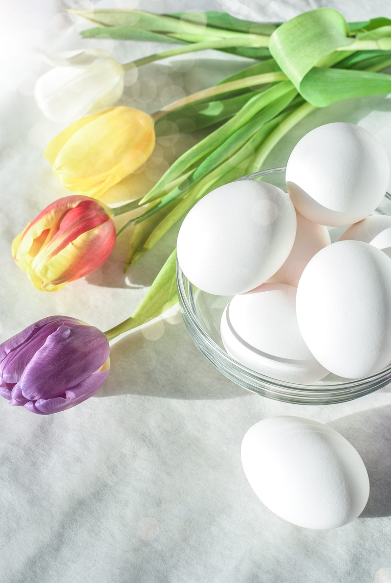 assorted, happy, desktop, plant, tulip, vulnerability, holiday, flowering plant, fragility, 5K, white, flower, table, nature, color, indoors, high angle view