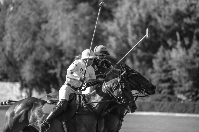 one person, headwear, polo, polo tournament, horse, equestrian, weapon, outdoors, riding, polo player, mammal, activity, helmet, government, horses running