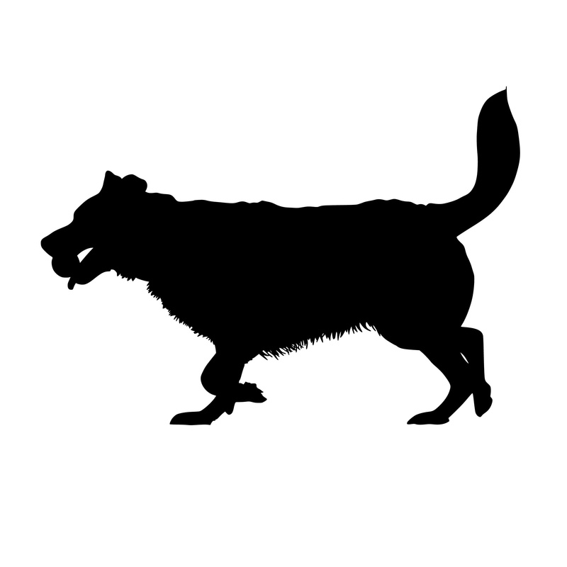 game, white background, pets, animal themes, animal wildlife, pet, cut out, illustration, studio shot, playing, dog, side view, black color, domestic, domestic animals