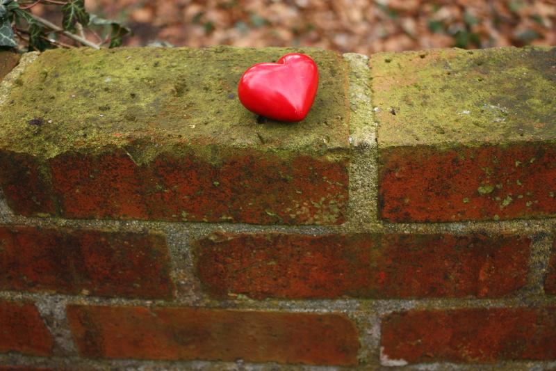 flower, backgrounds, love, freshness, sadness, brick wall, red, brick, 4K, day, get, wall - building feature, plant, welcome, architecture, injured, emotion