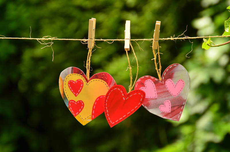 feelings, focus on foreground, connectedness, text, positive emotion, day, protection, greeting card, suspended, plant, decors, romance, love symbol, pink