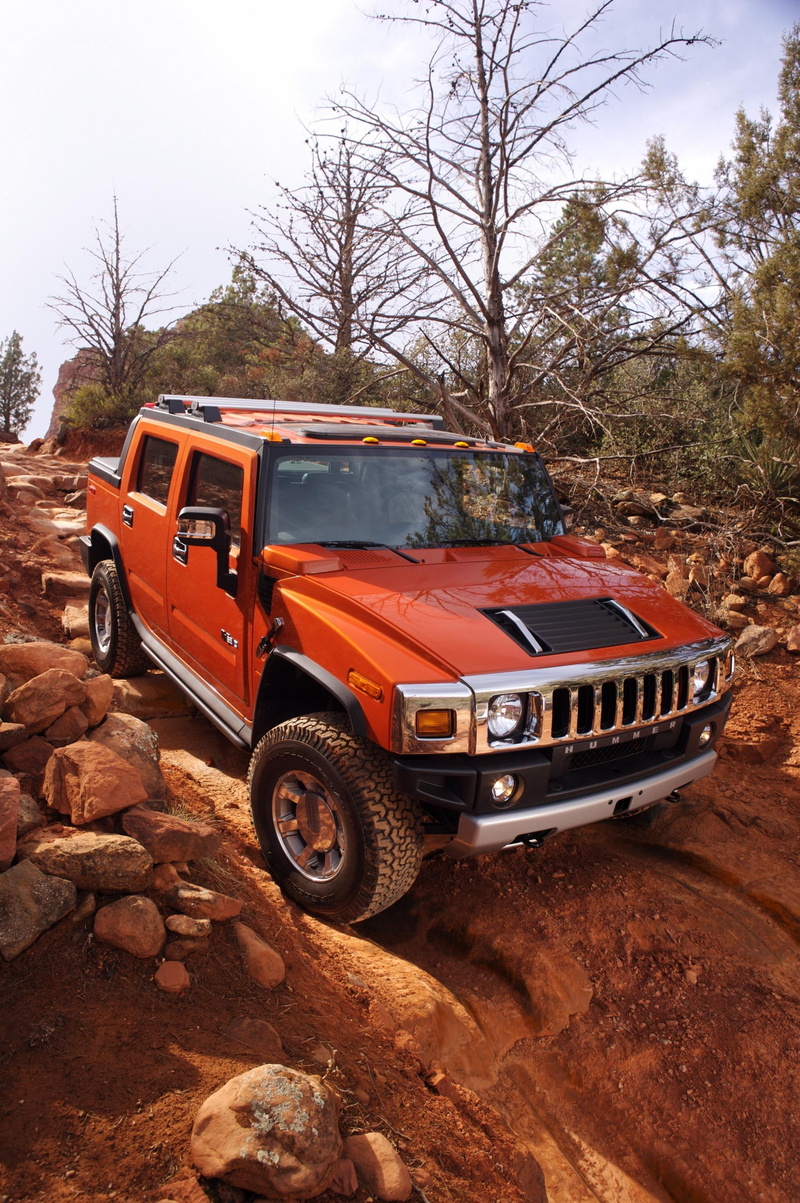 off-road vehicle, motor vehicle, transportation, outdoors, tire, stationary, road, land vehicle, tree, dirt, pick-up truck, non-urban scene, plant, nature