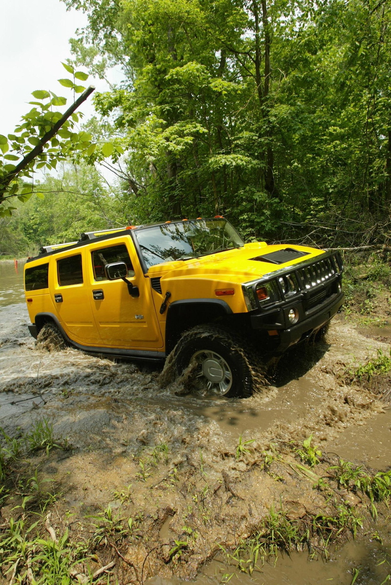 motor vehicle, road, car, mode of transportation, plant, transportation, dirt, land vehicle, 2K, tree, field, school bus, day, no people, forest, yellow taxi