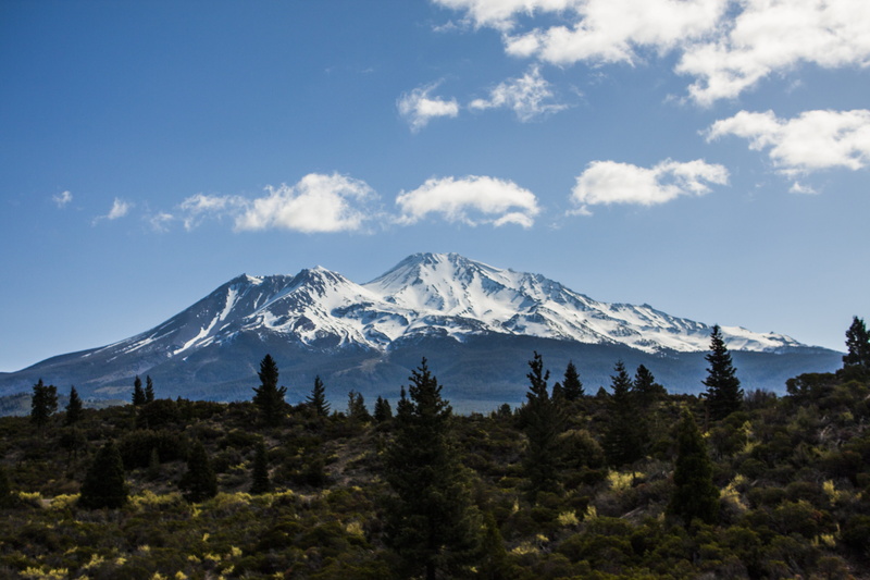 day, snow, tree, no people, wilderness, cloud - sky, mt shasta, peak, sky, 4K, beauty in nature, plant, Northern, California, tranquil scene, mountain range
