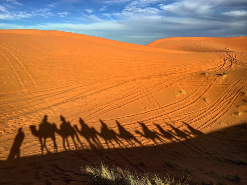 mammal, camels, animal, sun, sahara, arabic, people, sand dune, landscape, sunlight, tourist, shadow, tranquil scene, adventure, domestic animals, travel