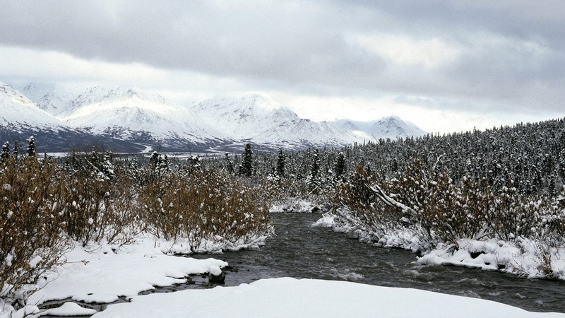 snowy, art, 1080P, nature, x, seasons, hd, Alaska, savage, season