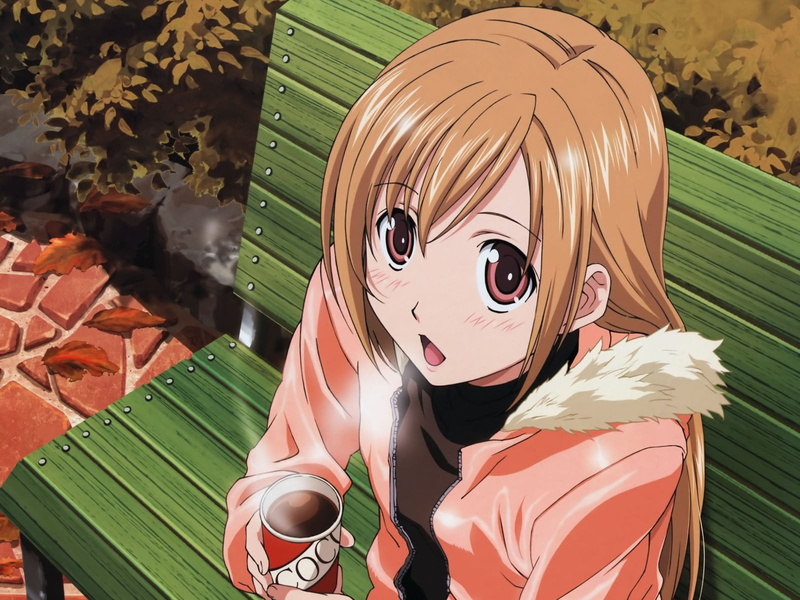Minami Haruka, day, character, male likeness, no people, leaves, art and craft, nature, hair, anime girls, high angle view, fall, Minami-ke, leaf, plant part
