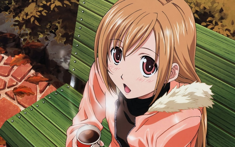 Minami-ke, Minami Haruka, anime, anime girls, bench, 720P