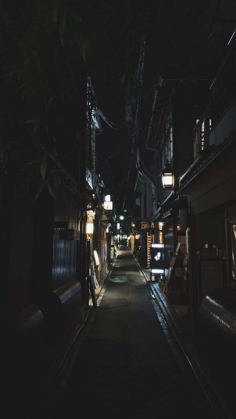 alleyway, building, lighting, dark, architecture, the way forward, direction, street lights, illuminated, footpath, building exterior, home decor, tree