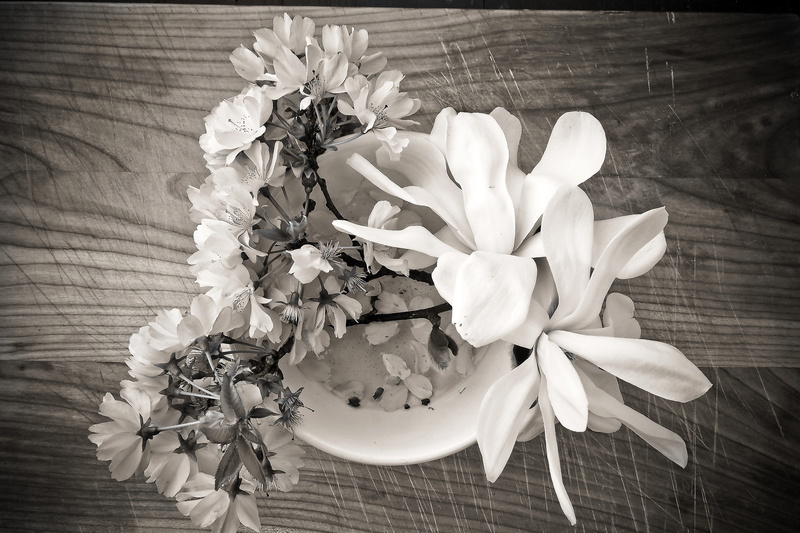 white color, pollen, wood - material, blossom, 4K, indoors, inflorescence, table, no people, plant, country house, beauty in nature, still life, on wood