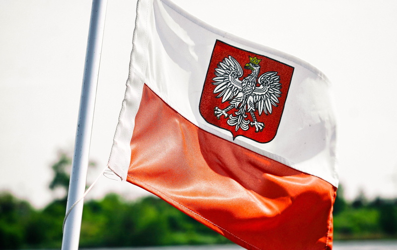 white color, sign, independence, focus on foreground, eagle, orange color, close-up, emblem, the feast of the, homeland, history, patriotism, white-red