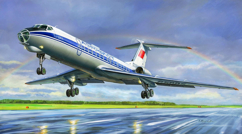 aerospace industry, travel, on the move, speed, 1080P, passenger, figure, airport runway, transportation, Tu-134Б, mode of transportation, silver, nature
