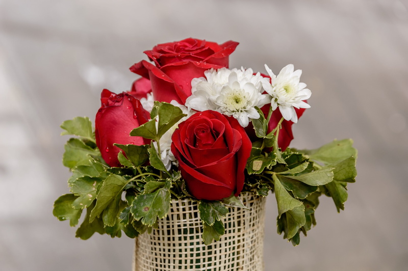 rose - flower, fragility, flower arrangement, beauty in nature, 5K, valentines day - holiday, flowering plant, color, celebration, nature, roses