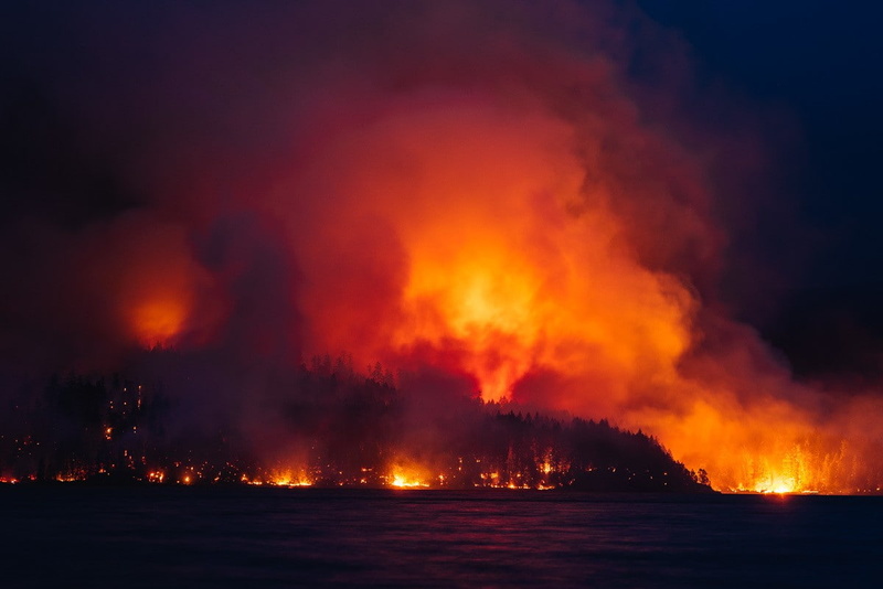 480P, 1983, vintage, sea, nature, forest, fire, photography