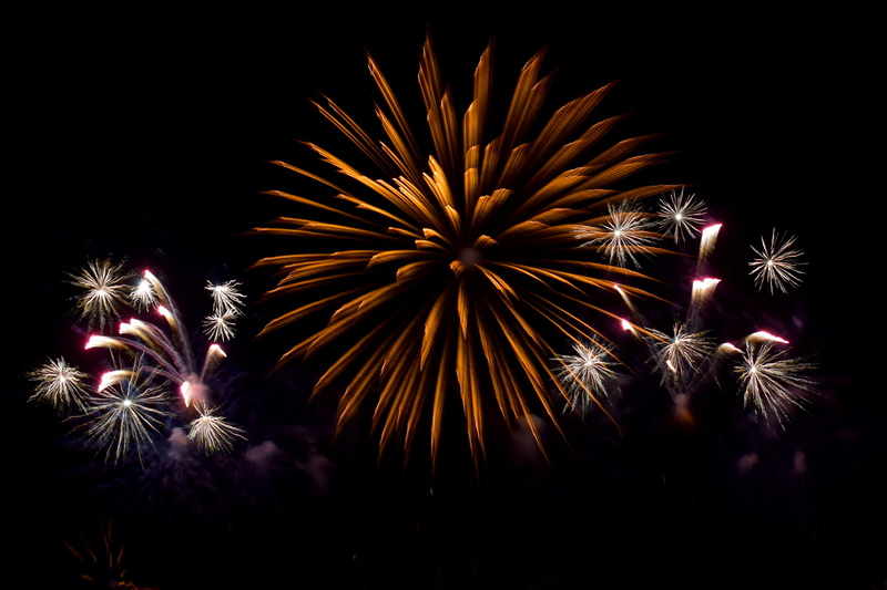nature, prague, glowing, celebration, black background, diwali, firework - man made object, flower, 2K, new year, outdoors, czechia, three, event, sky