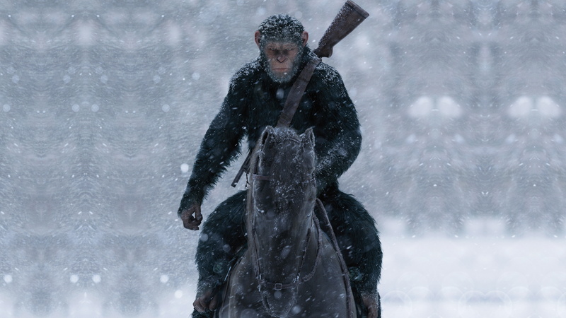 monkey, horse, rifle, 5k, riding, War for the Planet of the Apes, 5K