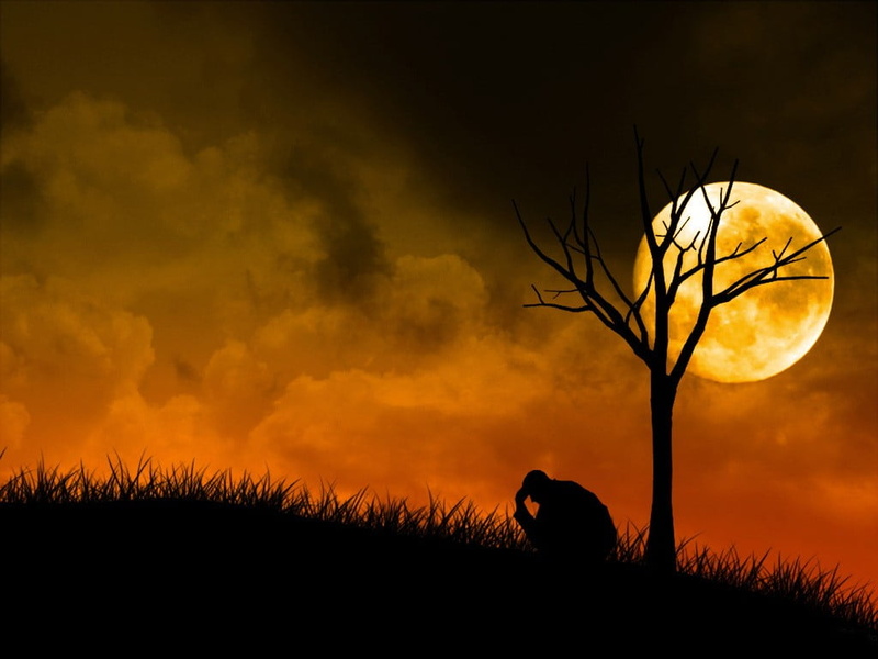 no people, dark, silhouette, sunset, artwork, landscape, sky, alone, dramatic sky, animal themes, outdoors, primate, animals in the wild, night, mammal