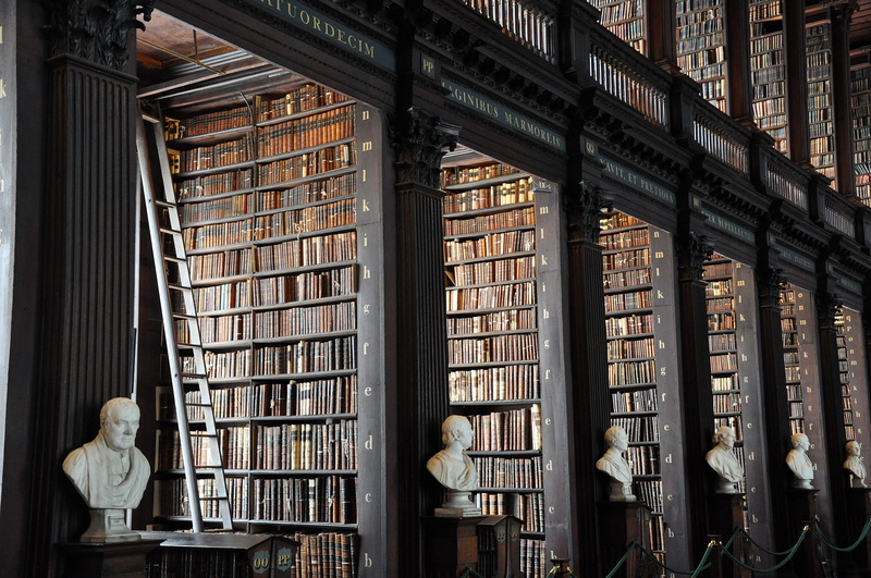 arrangement, library, white, shelf, indoors, library interior, book, bookshelf, history, abundance, people, head, 4K, choice, learning, the past, publication