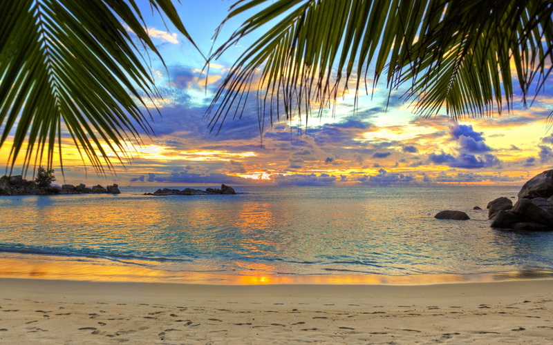 land, tranquil scene, horizon over water, beauty in nature, sunset, cloud - sky, beach, idyllic, coconut palm tree, tree, sea, palm tree, scenics - nature