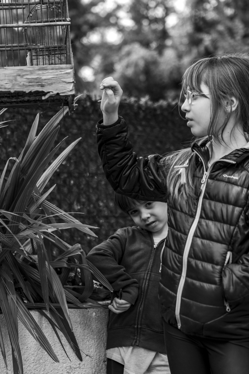 bird, women, waist up, girls, 5K, cage, exploring, females, one person, men, human arm, lifestyles, casual clothing, plant, boy, warm clothing, children