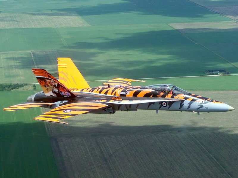 aircraft, military, Hornet, art, cf, 480P, Canadair, CF-180, hd
