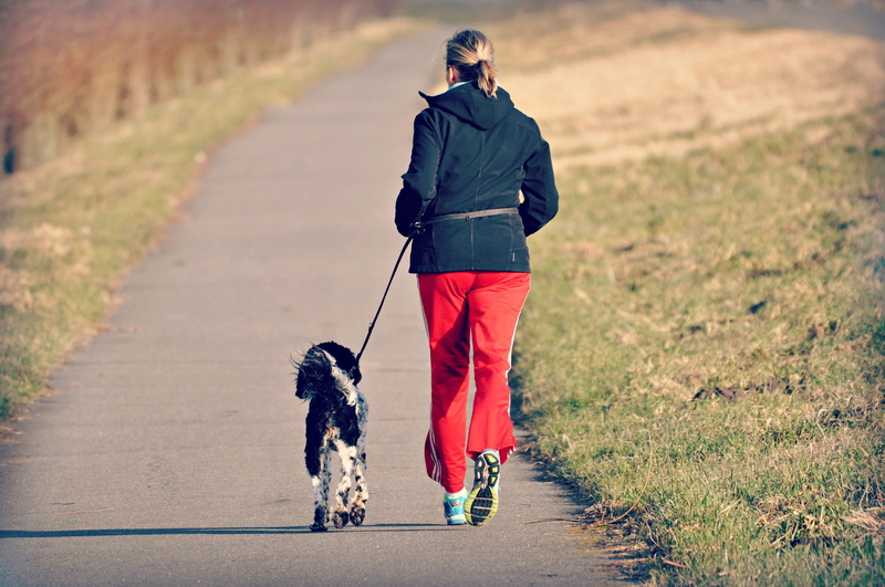 adult, one animal, pet owner, small, lifestyles, pet leash, outdoors, purebred dog, embankment, domestic, leash, mammal, people, vertebrate, canine, 4K