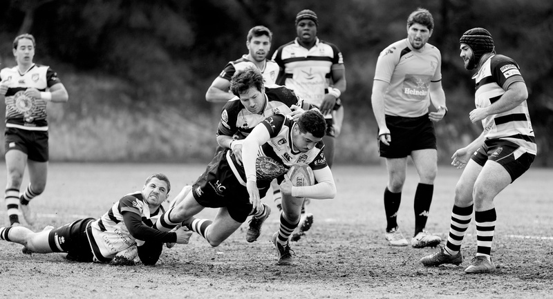 blanco y negro, bandw, young adult, rugby, sport, american football - sport, group of people, team sport, grass, sports clothing, scale, football, photo