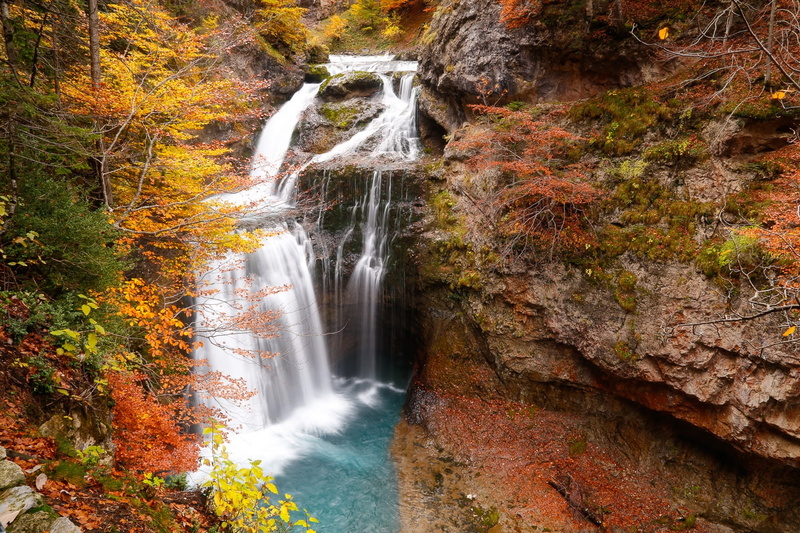 solid, tree, long exposure, blurred motion, water, National Parks, rock - object, power in nature, rainforest, Nature, Forests, scenics - nature, waterfall