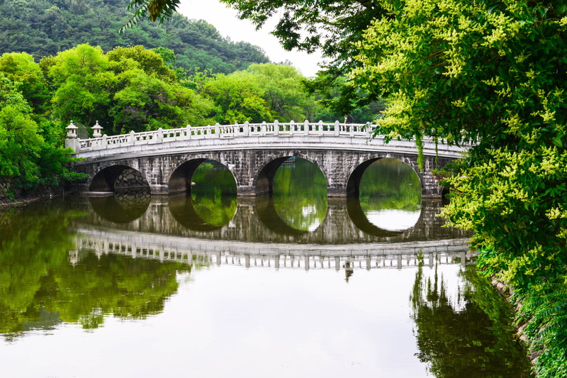 water, no people, plant, outdoors, day, bridge, connection, arch bridge, forest, growth, architecture, 5K, korea, nature, bridge - man made structure