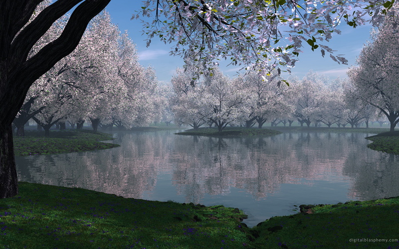 flowers, landscape, green, trees, 1080P, digitalrendering, water, sakura, pink, cherryblossoms