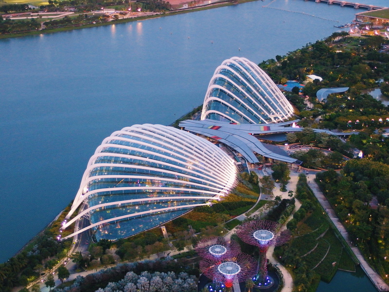 travel destinations, gardens by the bay, tree, sky, forest, mode of transportation, nature, sea, travel, sg, drone, no people, modern, architecture, colorful