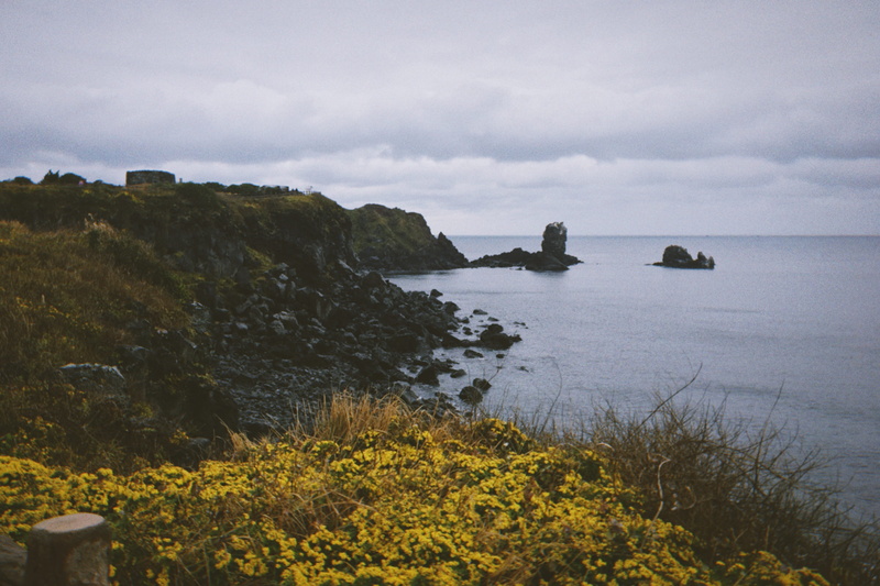 tranquility, solid, jejudo, jeju, tranquil scene, land, seogwipo, outdoors, rock - object, no people, cloud - sky, south korea, rainyday, nature, sky, winter